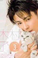 猫街木村了