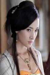 大唐女将樊梨花[TV版]陈金定