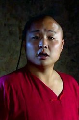 神医喜来乐德福