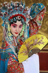 百花深处婉菊