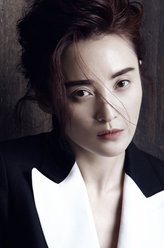 卧虎藏龙玉娇龙