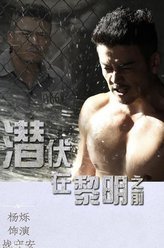 潜伏在黎明之前战守安