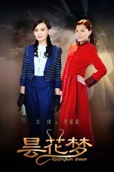 昙花梦李丽兰