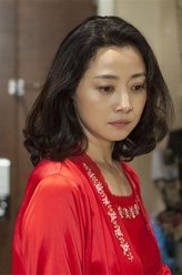 好大一个家李婉华