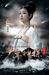 少年神探狄仁杰武媚娘