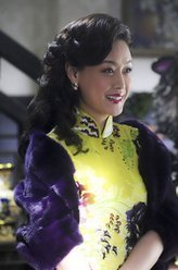 一代枭雄柳丁