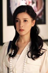 贤妻赵淑惠