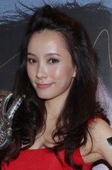 追龙2：追缉大富豪博士妻子