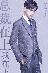总裁在上我在下宫欧