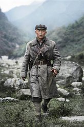 勇士杨政委
