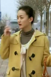 婆婆来了何琳