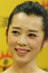 狐踪谍影何大使