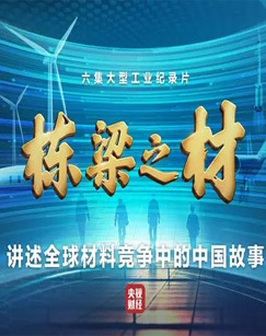 栋梁之材