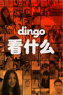 dingo 看什么 2016