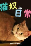 猫奴的日常 2016