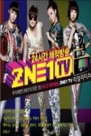 2NE1TV 2010