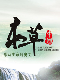 与卡戴珊同行 第十六季