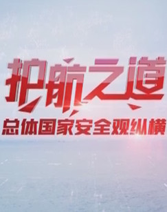 护航之道——总体国家安全观纵横