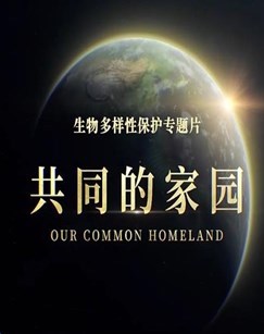 共同的家园