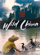美丽中国