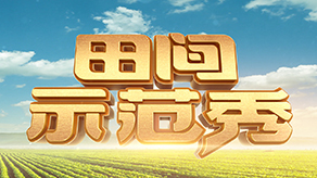 田间示范秀