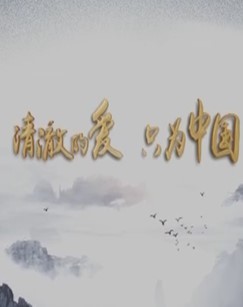 清澈的爱只为中国