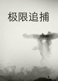 极限追捕