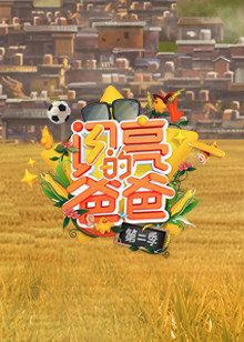 闪亮的爸爸 第2季