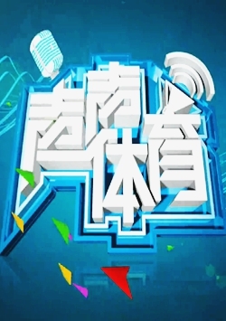 声声体育