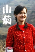 山菊