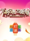 中国灯谜大会第四季